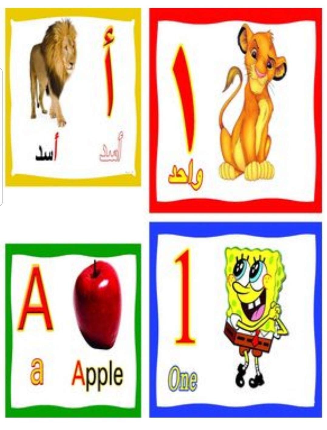 بطاقة تعليمية